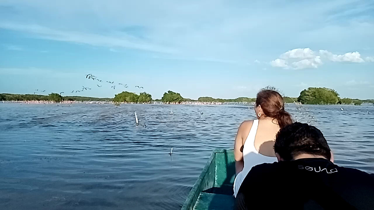 Tour en lancha por el Golfo de México
