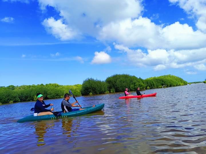 EcoTours sisal