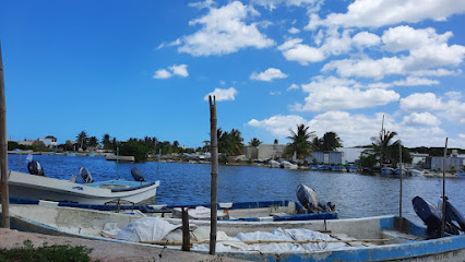 El Contenedor de Sisal