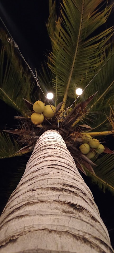 Explora Sisal