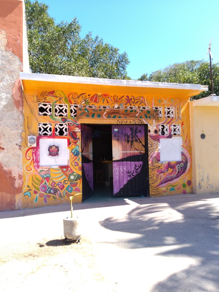 Loco Flamingo