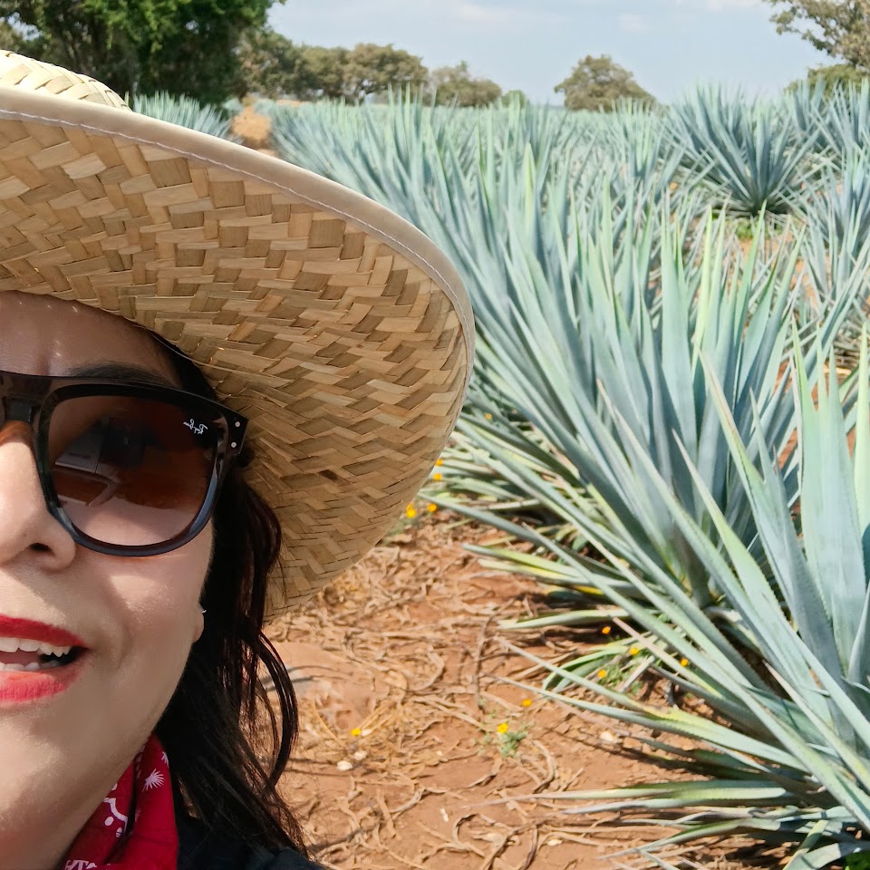 Palapas los surfos