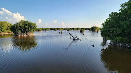 Puerto De Abrigo Sisal