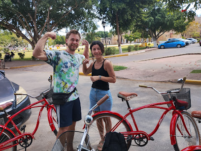 Rental&tours Puhuy bike