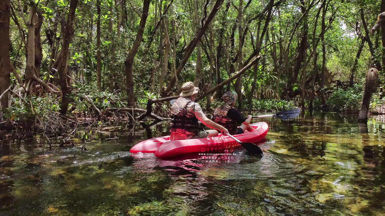 Tours Sisal Expeditions
